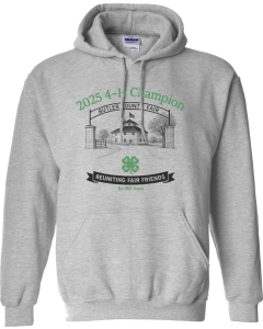 Heavy Blend™ Hooded Sweatshirt with 2025 Champion