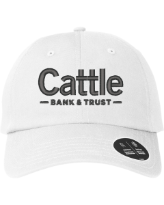 Under Armour Adjustable Chino Cap