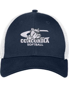 Stretch Mesh Cap with 