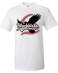 DryBlend® T-Shirt with Wing Logo