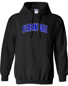 Heavy Blend™ Hooded Sweatshirt with PD Softball Logo