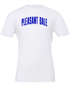 Jersey Tee with PD Softball Logo