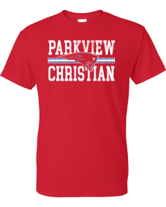 DryBlend® T-Shirt with Parkview Distressed Logo