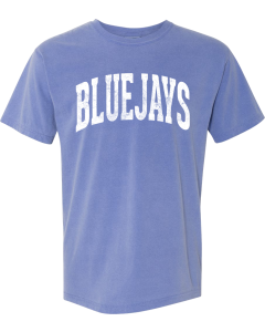 Garment-Dyed Heavyweight T-Shirt with Arched Distressed Bluejays