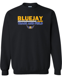 Heavy Blend™ Crewneck Sweatshirt with Duo Line Track Logo