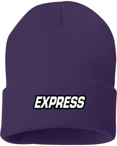 Solid 12" Cuffed Beanie with Embroidered Express Logo