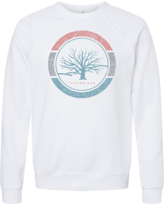 Unisex Sponge Fleece Raglan Crewneck Sweatshirt with Vintage Logo - Full Front