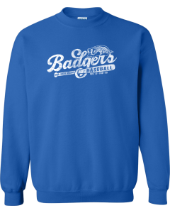 Heavy Blend™ Crewneck Sweatshirt with Old School Badger Logo